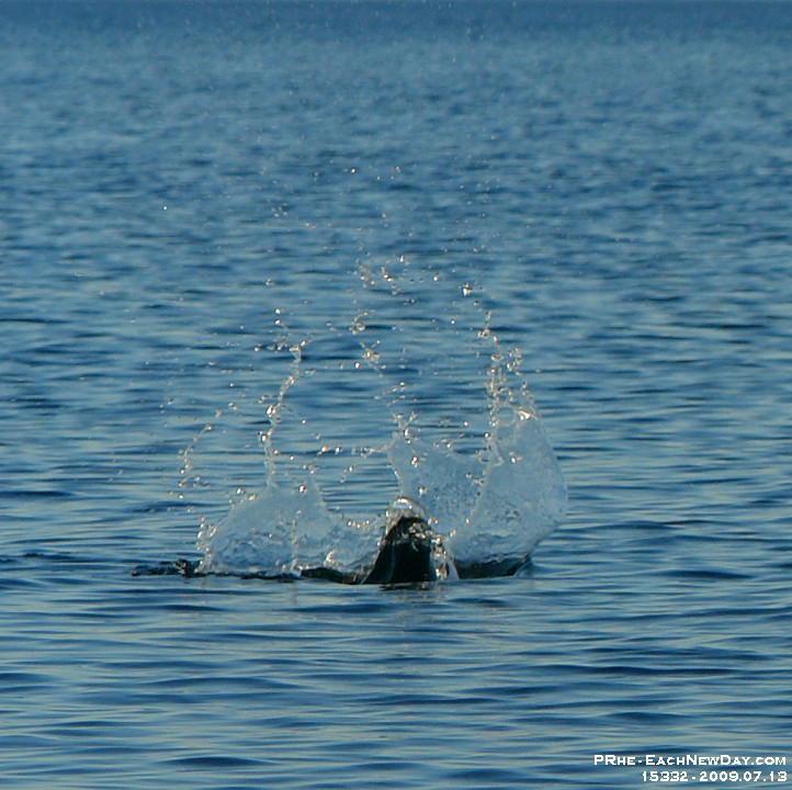 15332CrLeSh - On the Waterfront Trail (bottom of Liverpool Road) with Andrew
